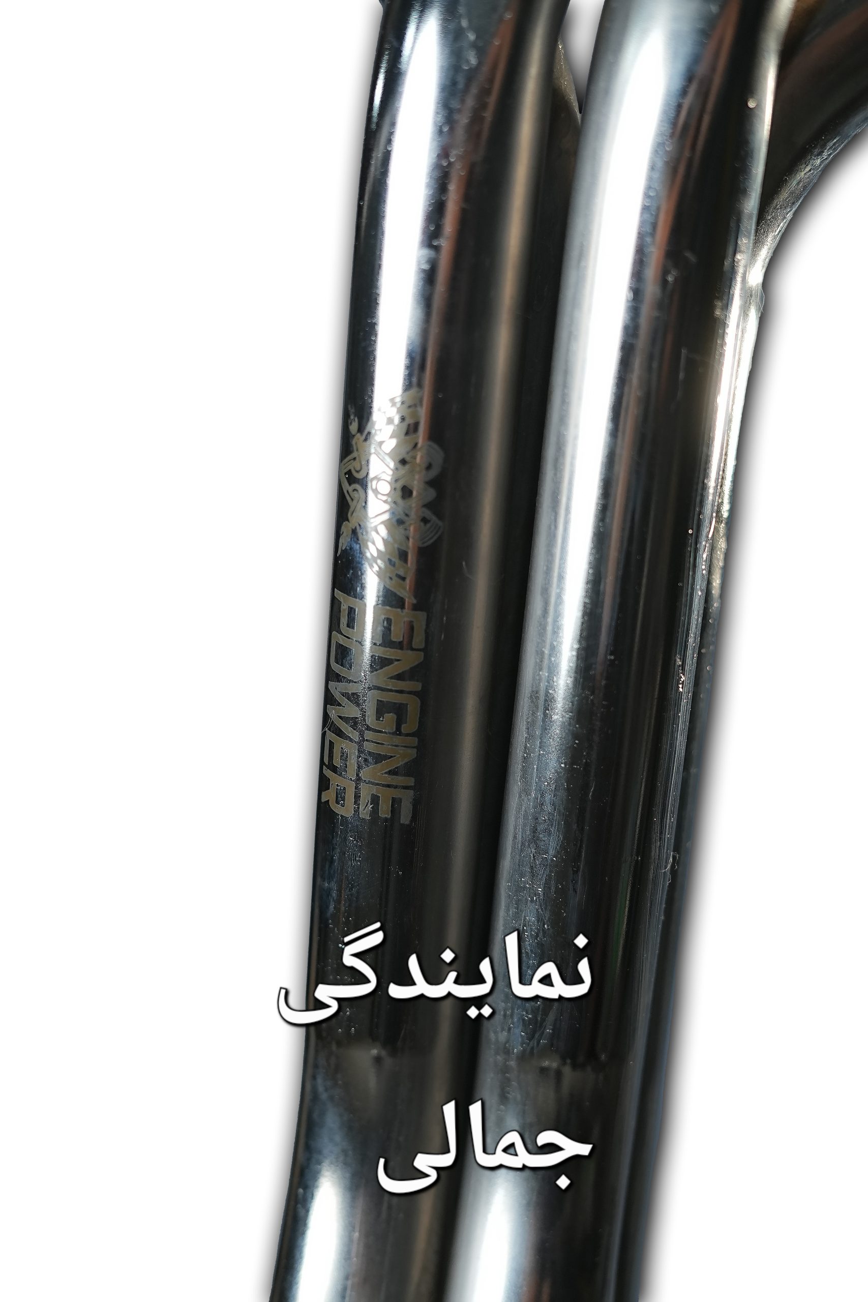 IMG_20251208_031947_295